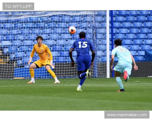 德甲夏窗转会动态：多队补强阵容，引援策略聚焦年轻化与即战力