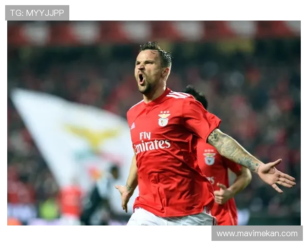 本菲卡关键球员 本菲卡关键球员